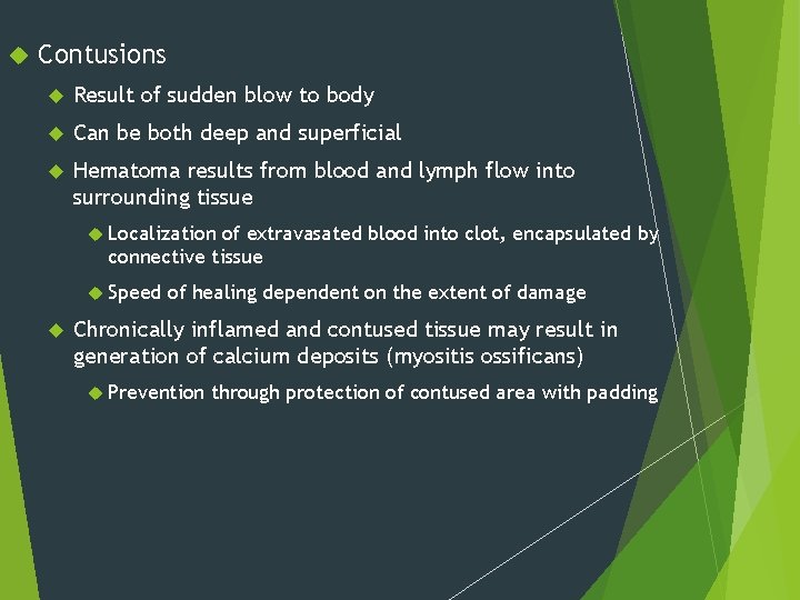  Contusions Result of sudden blow to body Can be both deep and superficial