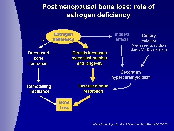Postmenopausal bone loss: role of estrogen deficiency ? Indirect effects Estrogen deficiency Directly increases