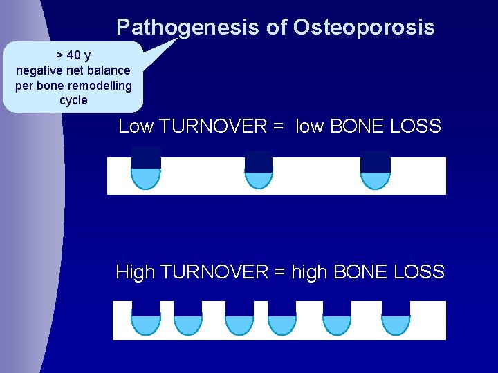 Pathogenesis of Osteoporosis > 40 y negative net balance per bone remodelling cycle Low