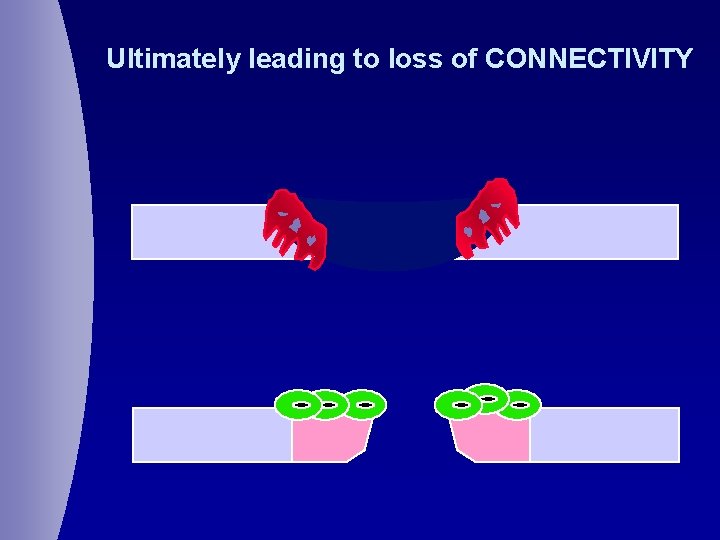 Ultimately leading to loss of CONNECTIVITY 