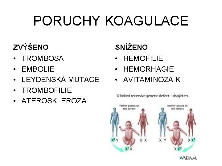 PORUCHY KOAGULACE ZVÝŠENO SNÍŽENO • • • HEMOFILIE • HEMORHAGIE • AVITAMINOZA K TROMBOSA