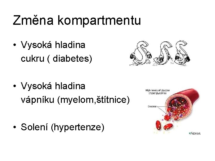Změna kompartmentu • Vysoká hladina cukru ( diabetes) • Vysoká hladina vápníku (myelom, štítnice)