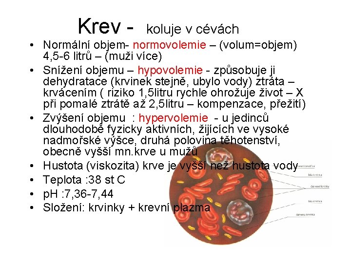 Krev - koluje v cévách • Normální objem- normovolemie – (volum=objem) 4, 5 -6