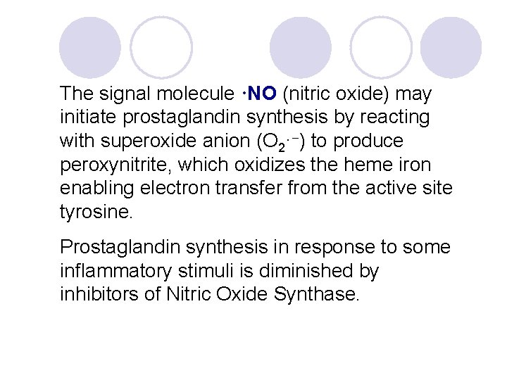 The signal molecule ·NO (nitric oxide) may initiate prostaglandin synthesis by reacting with superoxide