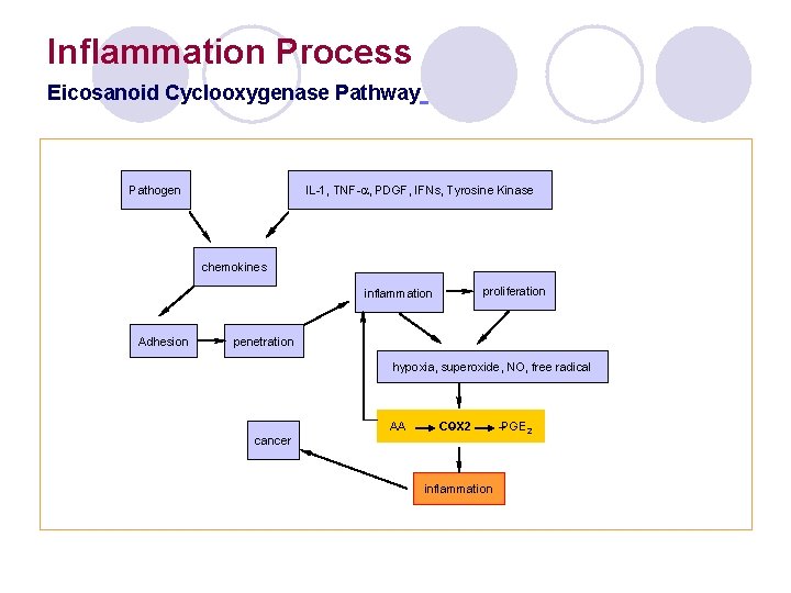 Inflammation Process Eicosanoid Cyclooxygenase Pathway Pathogen IL-1, TNF-a, PDGF, IFNs, Tyrosine Kinase chemokines inflammation