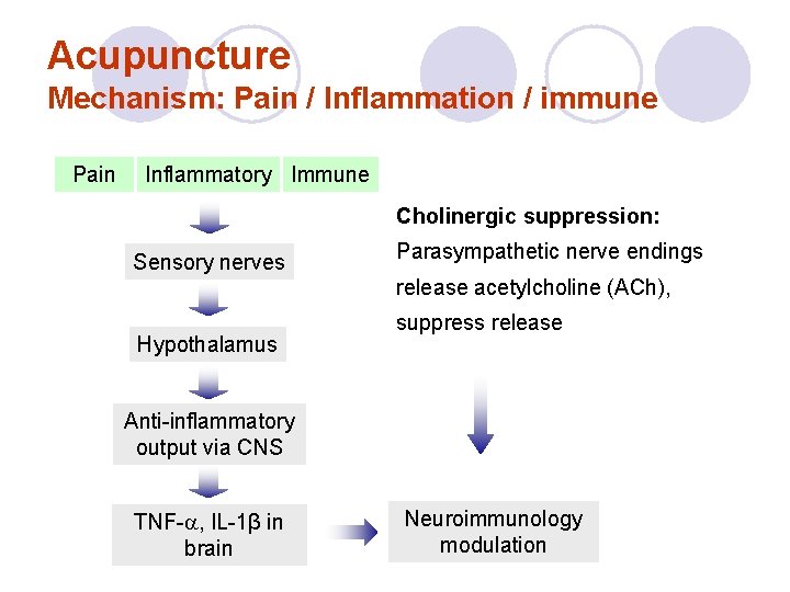 Acupuncture Mechanism: Pain / Inflammation / immune Pain Inflammatory Immune Cholinergic suppression: Sensory nerves