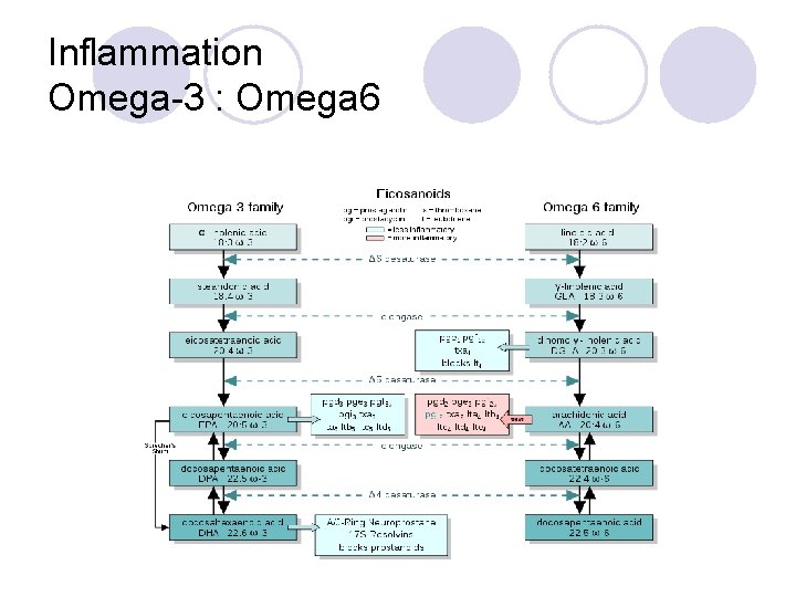 Inflammation Omega-3 : Omega 6 