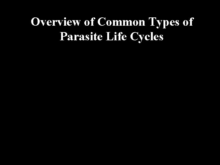 Overview of Common Types of Parasite Life Cycles 