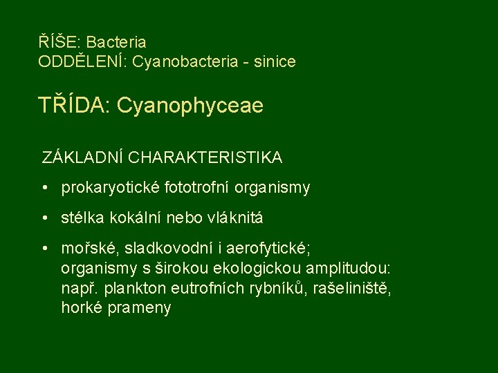 ŘÍŠE: Bacteria ODDĚLENÍ: Cyanobacteria - sinice TŘÍDA: Cyanophyceae ZÁKLADNÍ CHARAKTERISTIKA • prokaryotické fototrofní organismy