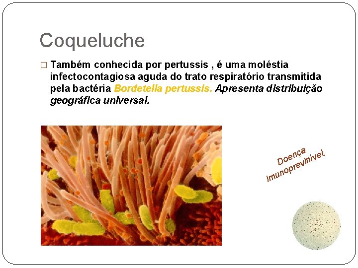 Coqueluche � Também conhecida por pertussis , é uma moléstia infectocontagiosa aguda do trato