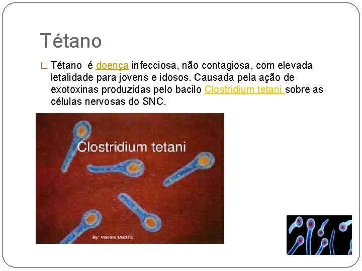 Tétano � Tétano é doença infecciosa, não contagiosa, com elevada letalidade para jovens e