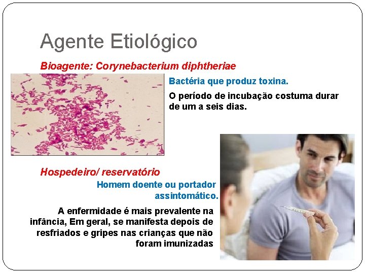 Agente Etiológico Bioagente: Corynebacterium diphtheriae Bactéria que produz toxina. O período de incubação costuma