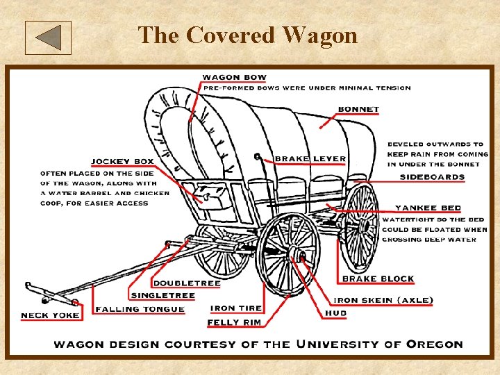 The Covered Wagon 