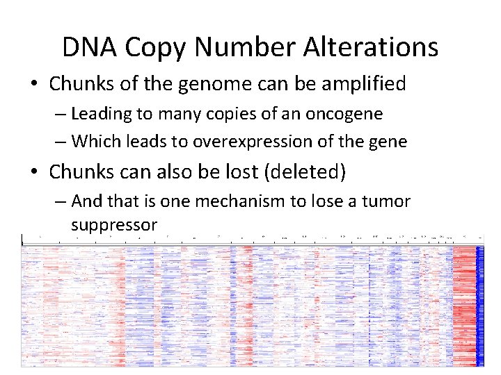 DNA Copy Number Alterations • Chunks of the genome can be amplified – Leading DNA Copy Number Alterations • Chunks of the genome can be amplified – Leading