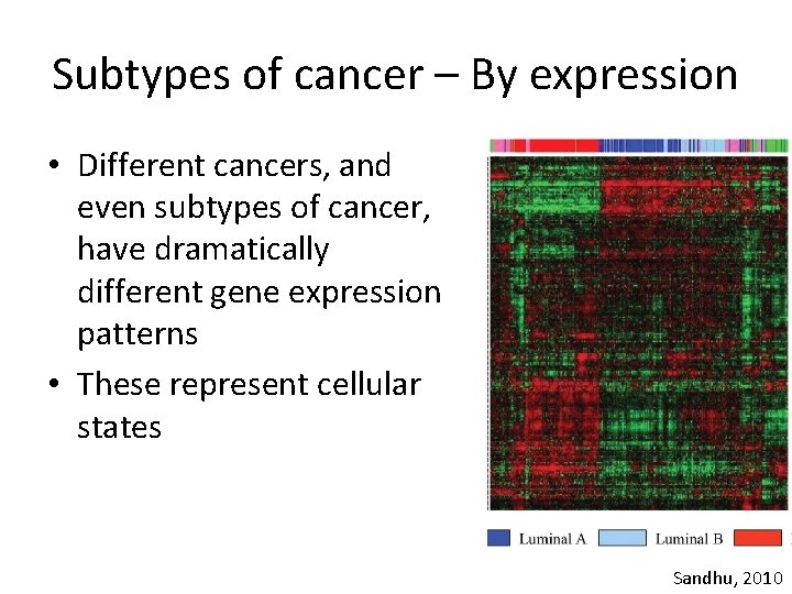 Subtypes of cancer – By expression • Different cancers, and even subtypes of cancer, Subtypes of cancer – By expression • Different cancers, and even subtypes of cancer,