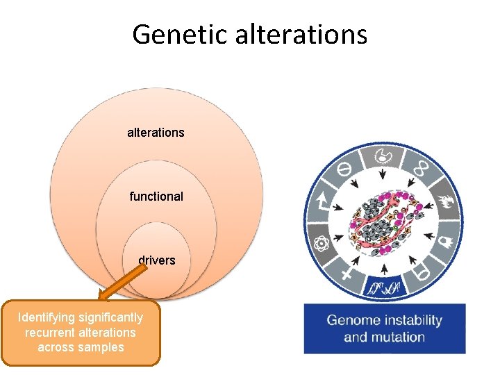 Genetic alterations functional drivers Identifying significantly recurrent alterations across samples Genetic alterations functional drivers Identifying significantly recurrent alterations across samples