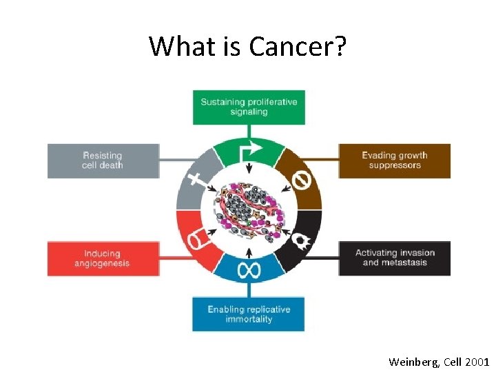 What is Cancer? Weinberg, Cell 2001 What is Cancer? Weinberg, Cell 2001