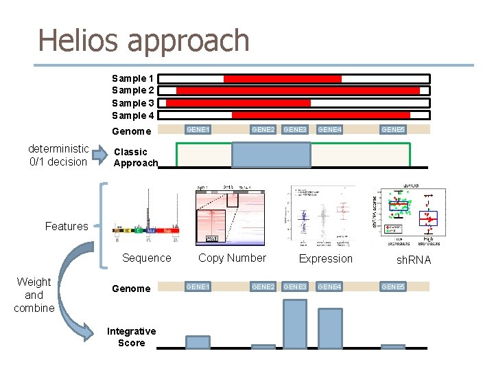 Helios approach Sample 1 Sample 2 Sample 3 Sample 4 Genome deterministic 0/1 decision Helios approach Sample 1 Sample 2 Sample 3 Sample 4 Genome deterministic 0/1 decision