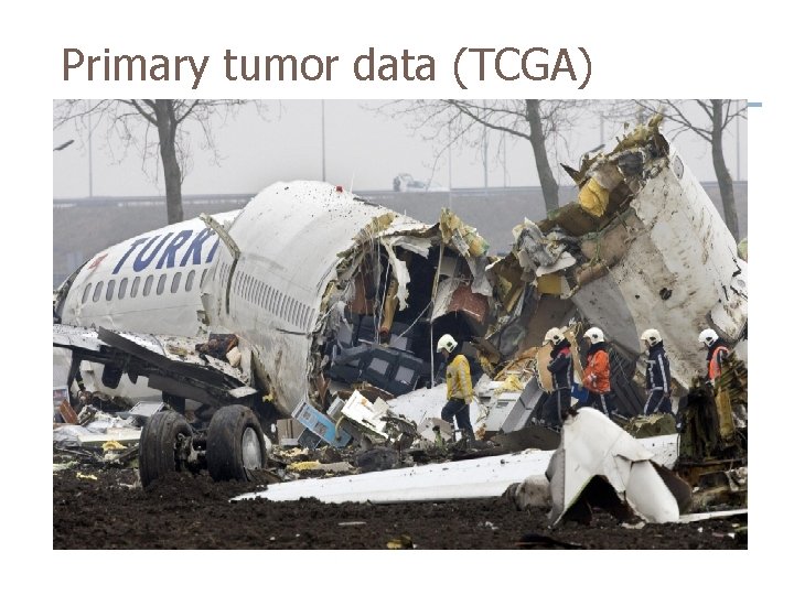 Primary tumor data (TCGA) Primary tumor data (TCGA)
