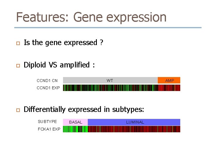 Features: Gene expression Is the gene expressed ? Diploid VS amplified : CCND 1 Features: Gene expression Is the gene expressed ? Diploid VS amplified : CCND 1