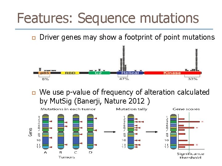 Features: Sequence mutations Driver genes may show a footprint of point mutations We use Features: Sequence mutations Driver genes may show a footprint of point mutations We use