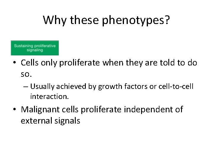 Why these phenotypes? • Cells only proliferate when they are told to do so. Why these phenotypes? • Cells only proliferate when they are told to do so.
