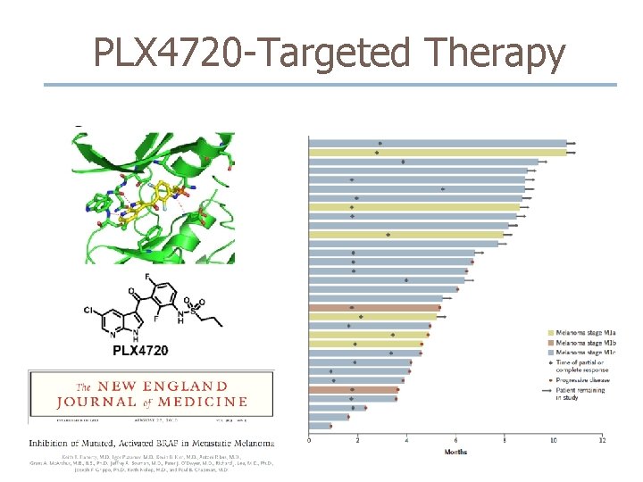 PLX 4720 -Targeted Therapy PLX 4720 -Targeted Therapy