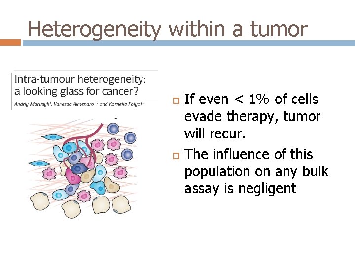 Heterogeneity within a tumor If even < 1% of cells evade therapy, tumor will Heterogeneity within a tumor If even < 1% of cells evade therapy, tumor will