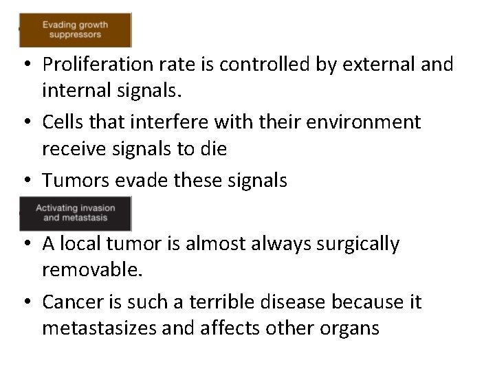 • Proliferation rate is controlled by external and internal signals. • Cells that • Proliferation rate is controlled by external and internal signals. • Cells that