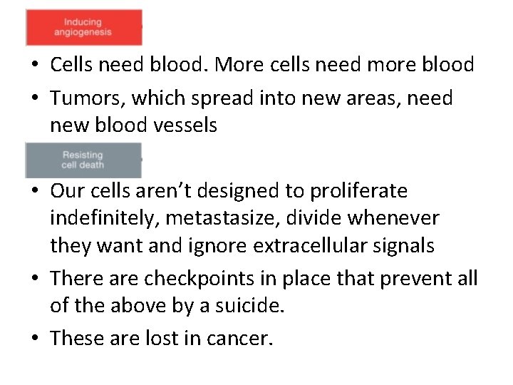 • Cells need blood. More cells need more blood • Tumors, which spread • Cells need blood. More cells need more blood • Tumors, which spread