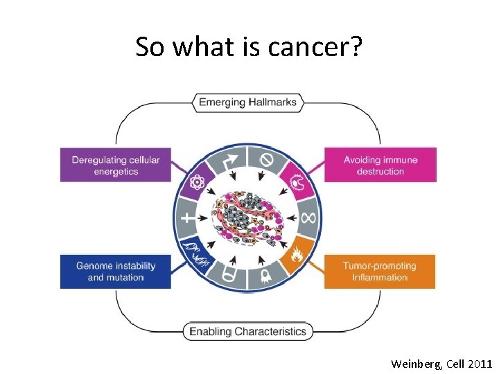 So what is cancer? Weinberg, Cell 2011 So what is cancer? Weinberg, Cell 2011