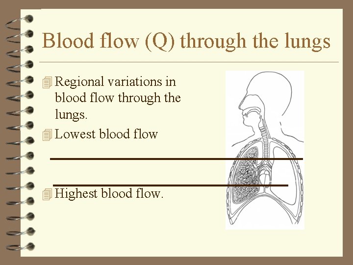 Blood flow (Q) through the lungs 4 Regional variations in blood flow through the