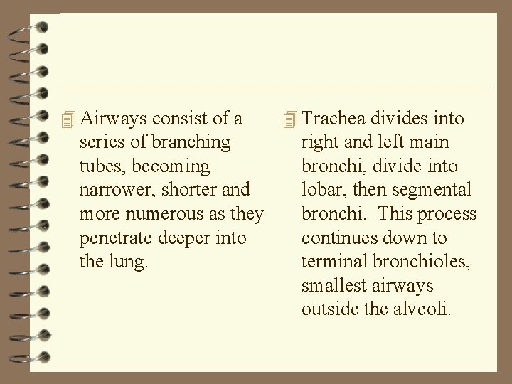 4 Airways consist of a series of branching tubes, becoming narrower, shorter and more