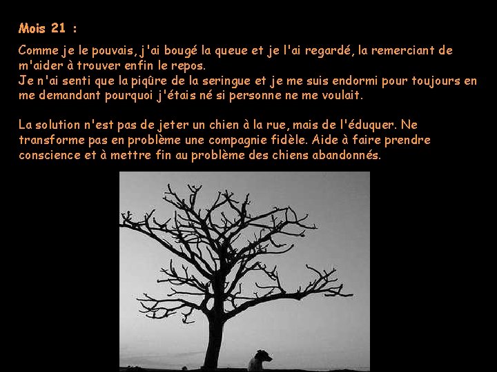 Mois 21 : Comme je le pouvais, j'ai bougé la queue et je l'ai