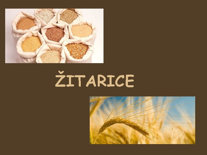 ŽITARICE 