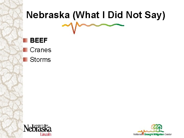 Nebraska (What I Did Not Say) BEEF Cranes Storms 
