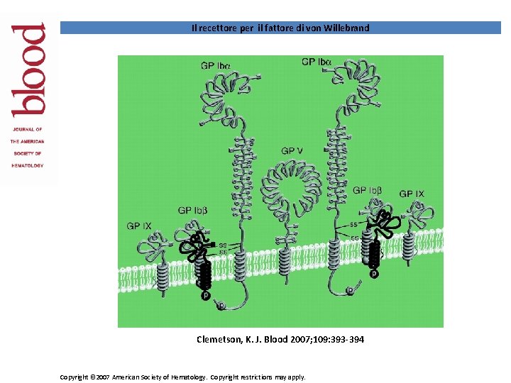 Il recettore per il fattore di von Willebrand Clemetson, K. J. Blood 2007; 109: