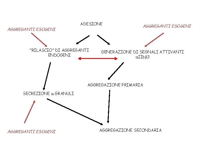 AGGREGANTI ESOGENI ADESIONE “RILASCIO” DI AGGREGANTI ENDOGENI AGGREGANTI ESOGENI GENERAZIONE DI SEGNALI ATTIVANTI a.