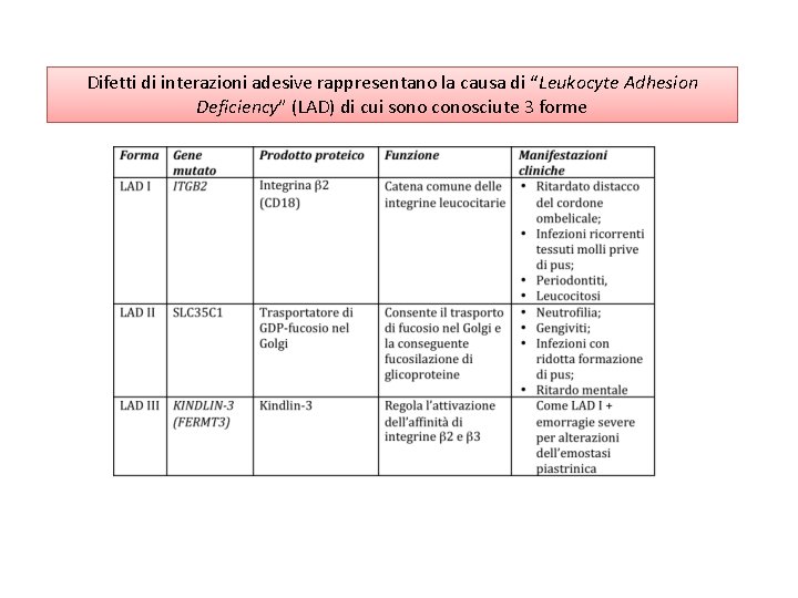 Difetti di interazioni adesive rappresentano la causa di “Leukocyte Adhesion Deficiency” (LAD) di cui