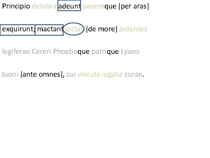 Principio delubra adeunt pacemque [per aras] exquirunt; mactant lectas [de more] bidentes legiferae Cereri