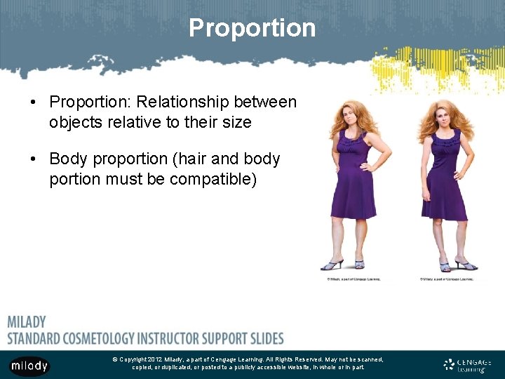 Proportion • Proportion: Relationship between objects relative to their size • Body proportion (hair