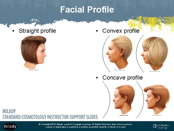 Facial Profile • Straight profile • Convex profile • Concave profile © Copyright 2012