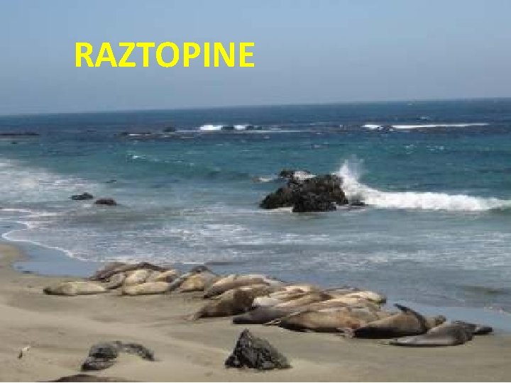 RAZTOPINE 