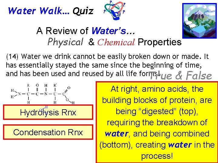 Water Walk… Quiz A Review of Water’s… Physical & Chemical Properties (14) Water we