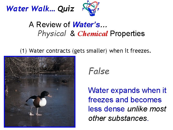 Water Walk… Quiz A Review of Water’s… Physical & Chemical Properties (1) Water contracts