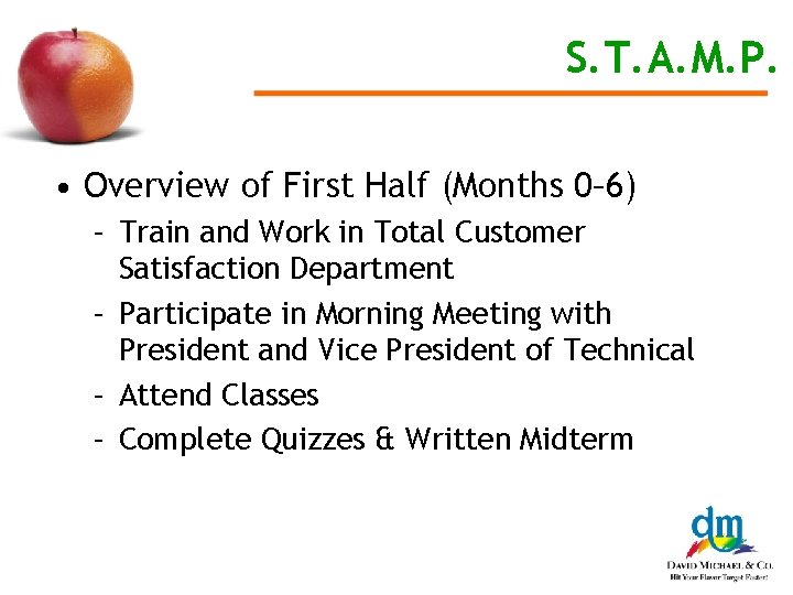 S. T. A. M. P. • Overview of First Half (Months 0– 6) –