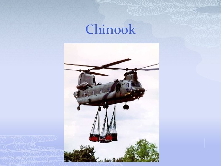 Chinook 