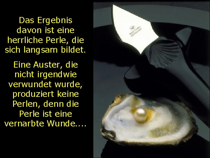 Das Ergebnis davon ist eine herrliche Perle, die sich langsam bildet. Eine Auster, die