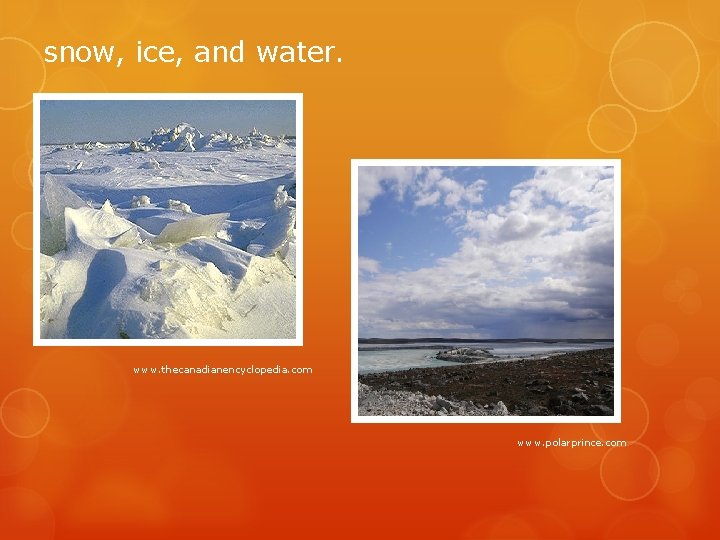 snow, ice, and water. www. thecanadianencyclopedia. com www. polarprince. com 