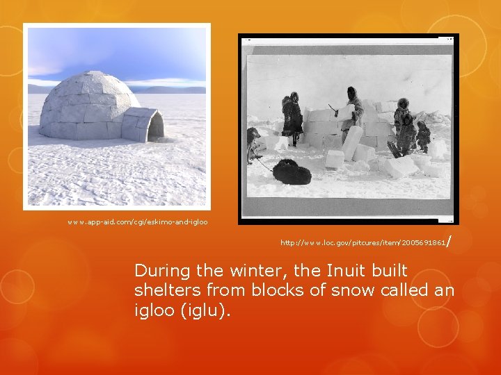 www. app-aid. com/cgi/eskimo-and-igloo http: //www. loc. gov/pitcures/item/2005691861 / During the winter, the Inuit built